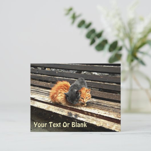 Carte Postale Petits sommes mignons (Debout devant)