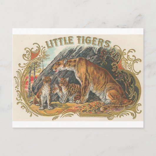 Carte Postale Petits tigres vintages (Devant)
