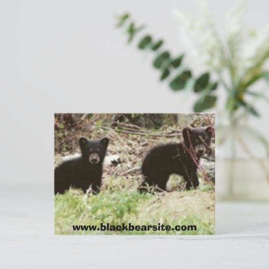Carte Postale petits, www.blackbearsite.com (Debout devant)