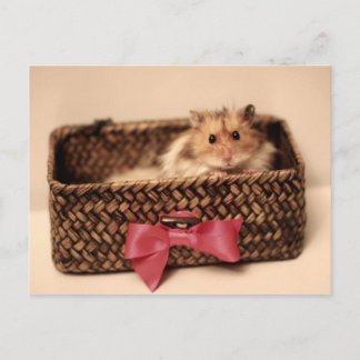 Carte postale PetL0ve