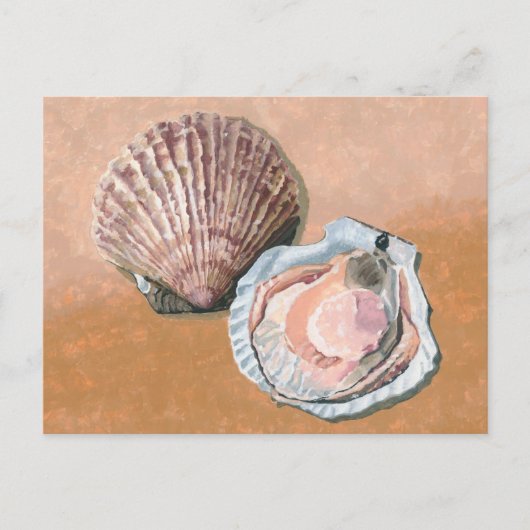 Carte Postale Pétoncles encore en vie (Devant)