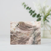 Carte Postale Petroglyphes (Debout devant)