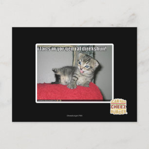 Carte Postale Pets I dans le direkshun gen'ral de yor