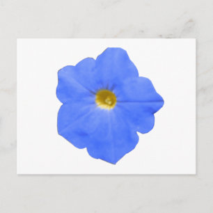 Carte postale Petunia bleu et jaune