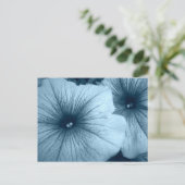 Carte Postale Petunias bleu (Debout devant)