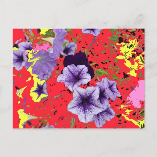 Carte Postale Petunias Bright Arrière - plan (Devant)