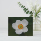 Carte Postale Petwhite (Debout devant)