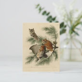 Carte Postale Peu de hibou de cri strident (Debout devant)