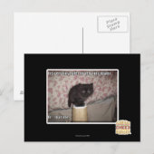 Carte Postale Peur-moi (Devant / Derrière)