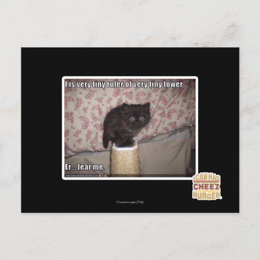 Carte Postale Peur-moi (Devant)