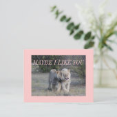 Carte Postale peut-être (Debout devant)