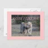 Carte Postale peut-être (Devant / Derrière)