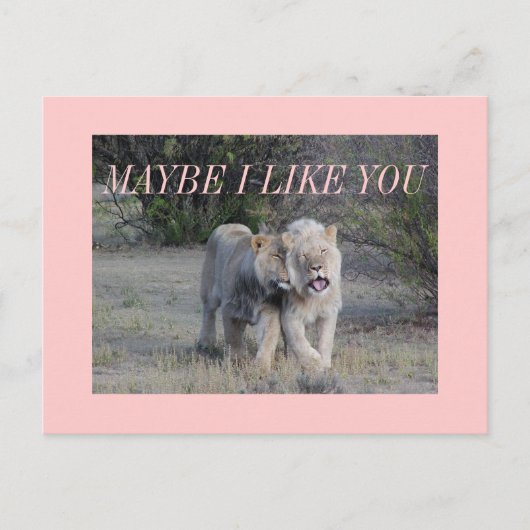 Carte Postale peut-être (Devant)