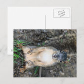 Carte Postale Peux-tu épargner un écrou ? (couleur) (Devant / Derrière)