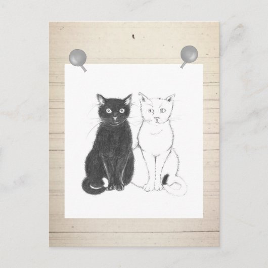 Carte Postale Pfeffer und Salz (Devant)