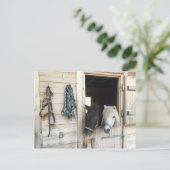 Carte Postale Pferder (Debout devant)