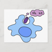 Phagocytose des bactéries