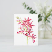 Carte Postale Phaiocalanthe Parkside rouge orchidée aquarelle ar (Debout devant)