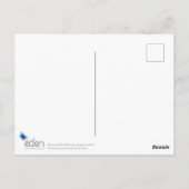 Carte Postale Phaiocalanthe Parkside rouge orchidée aquarelle ar (Dos)