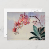 Carte Postale Phalaenopsis (Devant / Derrière)