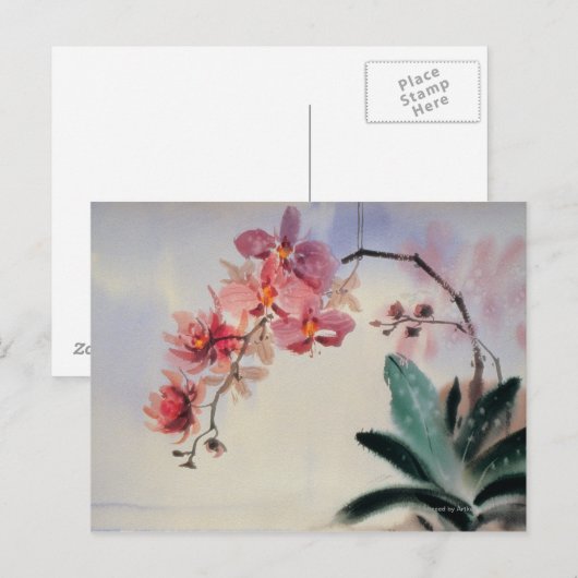 Carte Postale Phalaenopsis (Devant / Derrière)