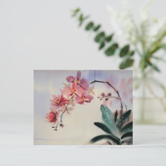 Carte postale Phalaenopsis (Debout devant)