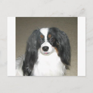 Carte Postale Phalène Papillon