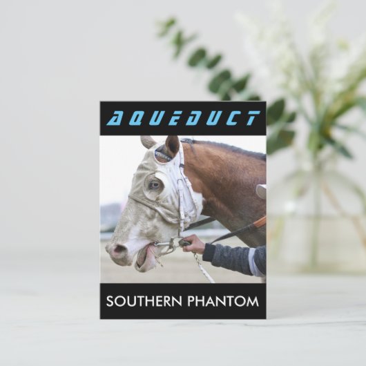 Carte Postale Phantom du sud (Debout devant)