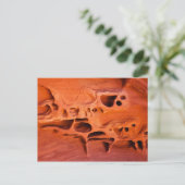 Carte Postale Phantômes de la grotte de feu (Debout devant)