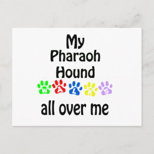 Carte Postale Pharaoh Hound Walks Design