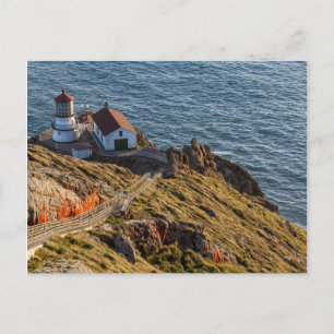 Carte Postale Phare à Point Reyes National Seashore