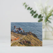 Carte Postale Phare à Point Reyes National Seashore (Debout devant)