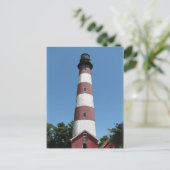 Carte Postale Phare d'Assateague (Debout devant)