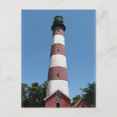 Carte Postale Phare d'Assateague (Devant)