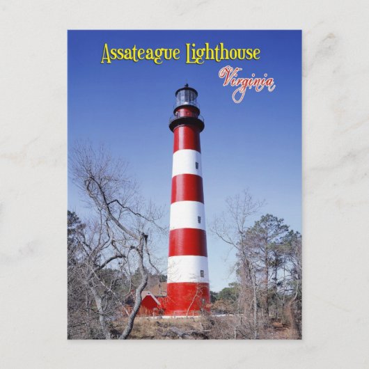 Carte Postale Phare d'Assateague, Virginie (Devant)