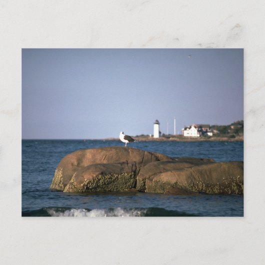 Carte Postale Phare de Eastern Point, Gloucester, Massachusett (Devant)