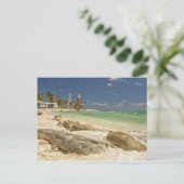 Carte Postale Phare de Half Moon Caye Natural Monument (Debout devant)