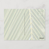 Carte Postale Phare de Kauai Hawaii Kilauea (Dos)