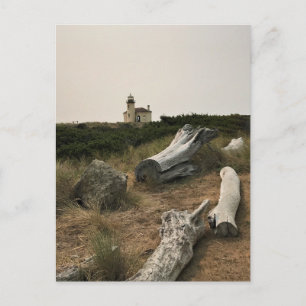 Carte Postale Phare de la rivière Coquille, OU