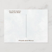 Carte Postale Phare de Sanibel Island Floride Phare de l'espoir (Dos)