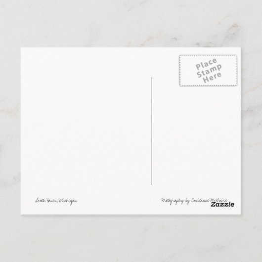 Carte Postale Phare de South Haven Michigan (Dos)