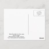 Carte Postale Phare de West Quoddy (Dos)