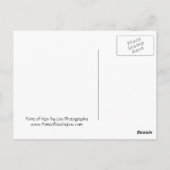 Carte Postale Phare, Gig Harbour Washington (Dos)