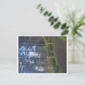 Carte Postale Phare Heceta head du sentier (Debout devant)