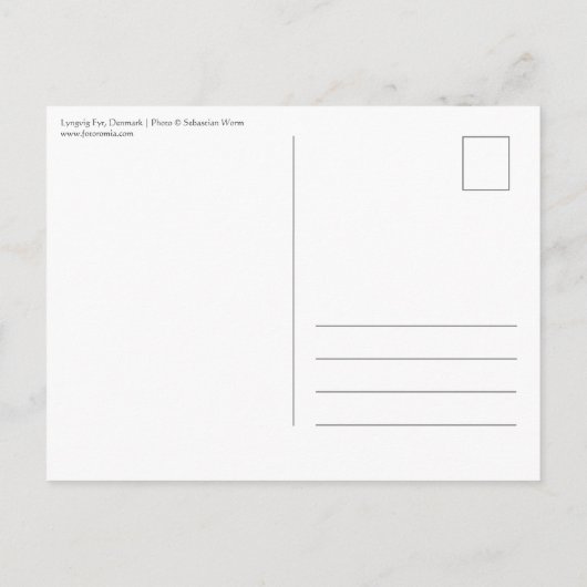 Carte Postale Phare Lyngvig (Dos)