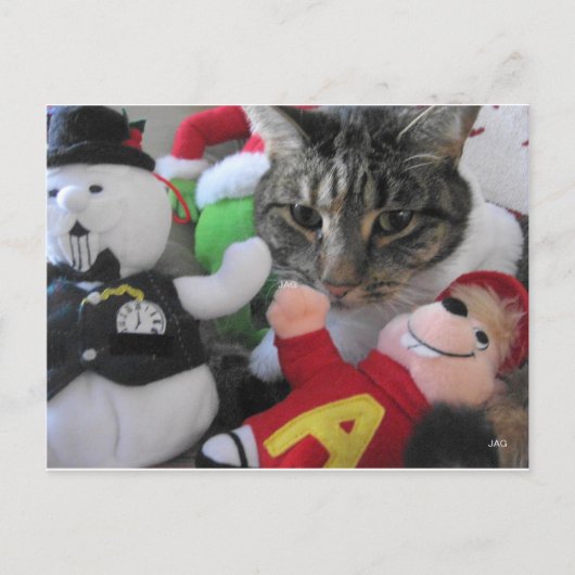 Carte postale Phat Cat & Friends (Devant)