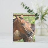 Carte Postale Phbttttttttttt ! ! ! ! ! (Debout devant)