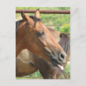 Carte Postale Phbttttttttttt ! ! ! ! ! (Devant)