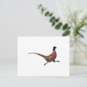 CARTE POSTALE PHÉASANT (Debout devant)