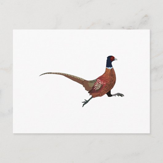 CARTE POSTALE PHÉASANT (Devant)